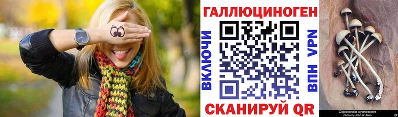 Галлюциногенные грибы мухоморы Грязи
